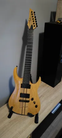 Agile Septor Pro 727 Elektrická gitara 7 strún [May 19, 2024, 9:28 am]