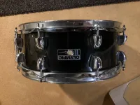 Premier Olympic Timbal [April 7, 2024, 12:09 pm]