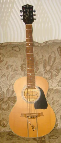 Richwood Artist RT17 Acoustic guitar [May 17, 2024, 7:50 am]