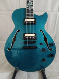 DAngelico Fabrizio Sotti Premier SS Electric guitar [May 3, 2024, 9:16 am]