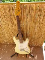 SX Stratocaster Vintage Series