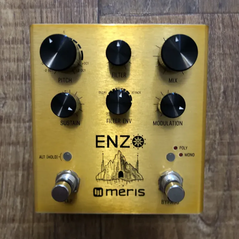 Meris Enzo Pedal