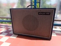 Ancona Player 40 Guitar combo amp [June 12, 2024, 12:31 pm]