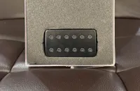 Bare Knuckle Warpig Bridge Pickup [June 10, 2025, 7:56 am]