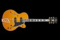 DAngelico Excel 59 Vintage Elektrická gitara [June 9, 2024, 9:54 pm]