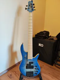 MLP PM5 Bass Gitarre [May 24, 2024, 10:45 am]