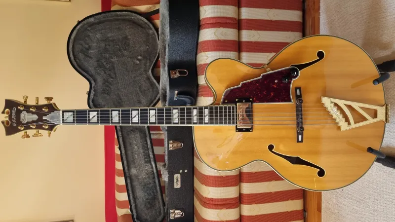 DAngelico Excel EXL-1 Jazzgitár