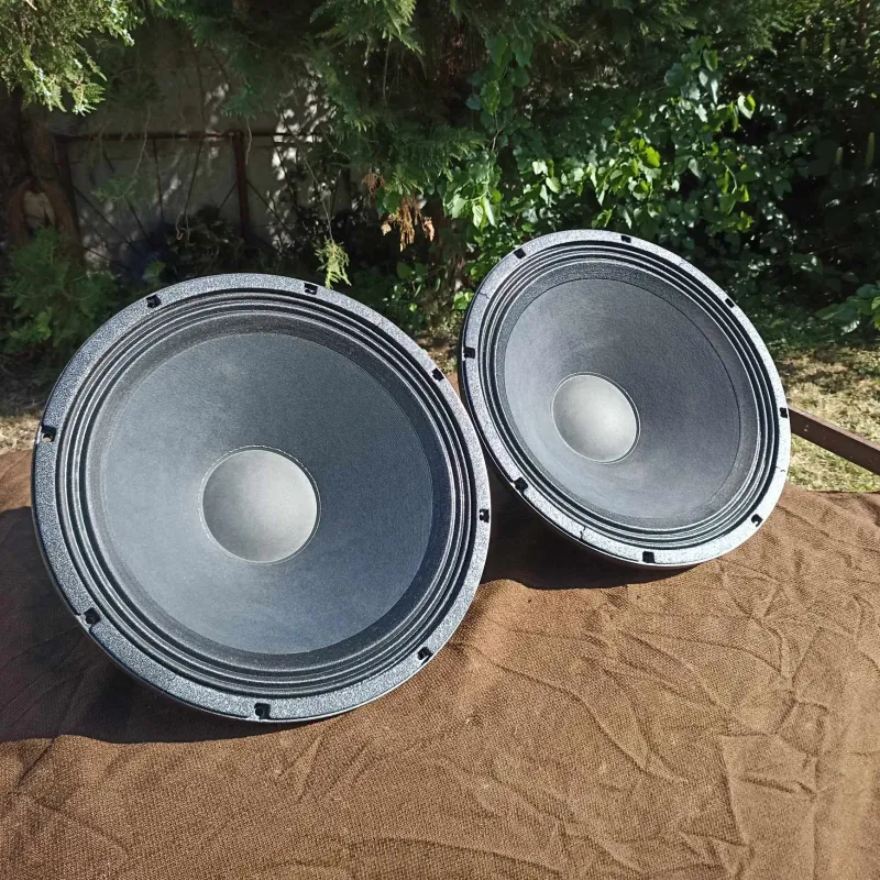  EV EVS 18S Speaker