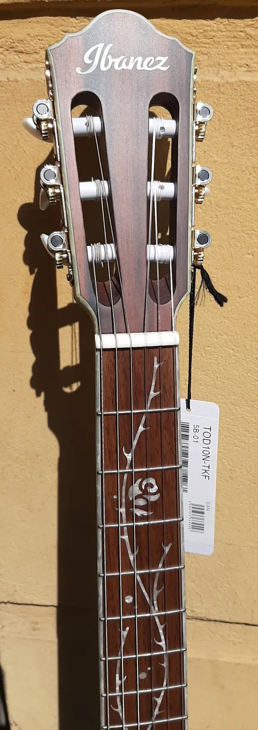 Ibanez TOD10N-TKF Guitarra clásica electroacústica