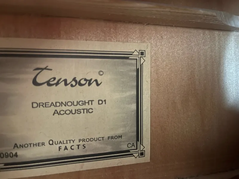 Tenson Tenson D1 CE Akustikgitarre