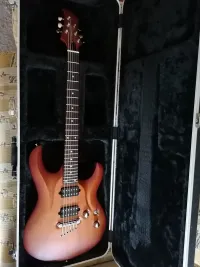 Haeussel Mensinger Stork Custom Elektromos gitár [2024.07.11. 19:45]