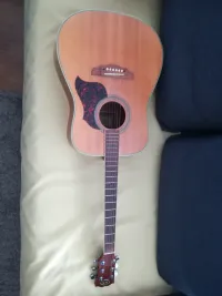 J&D LG-11 NL