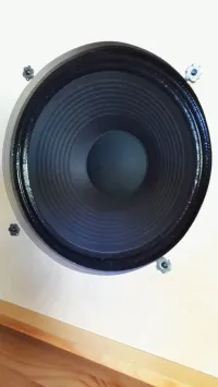 Jensen Blackbird 12  16 Ohm 100W Lautsprecher [September 10, 2024, 5:22 pm]