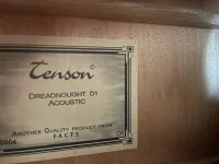Tenson Tenson D1 CE Acoustic guitar [May 27, 2024, 5:32 pm]