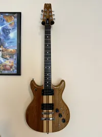 Vantage VP795 Guitarra eléctrica [October 7, 2024, 2:31 pm]