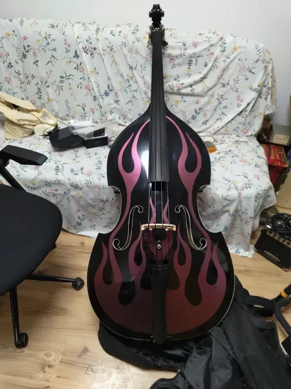 Thomann Rockabilly Sparkle Flames RPV Kontrabass