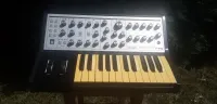 Moog Sub Phatty Sintetizador [June 8, 2024, 1:49 pm]