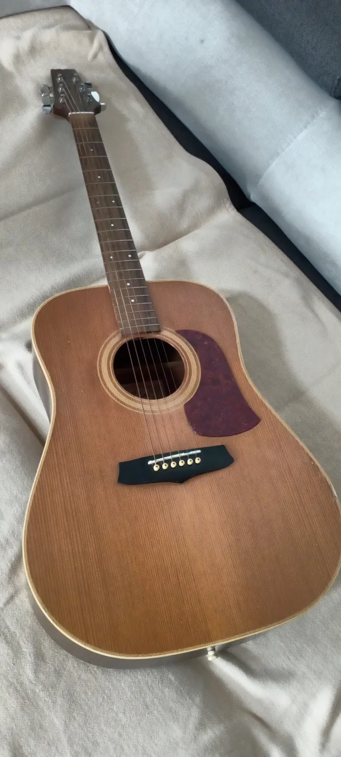 ARIA LW12HB japán, 1981, Gotoh Guitarra acústica