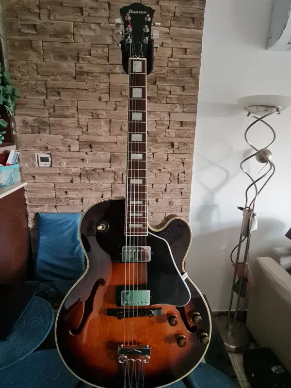 Ibanez FG100 Jazz guitar