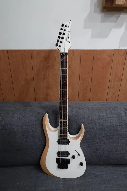 Ibanez rgd320 2025