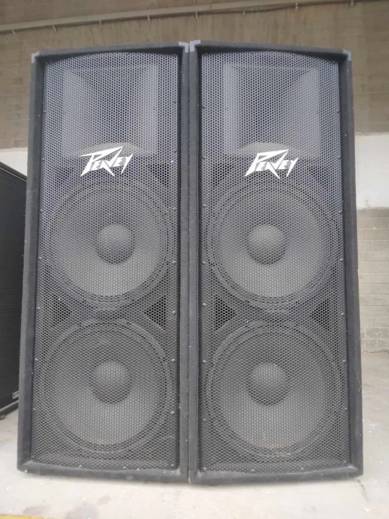 Peavey PV215 Altavoz