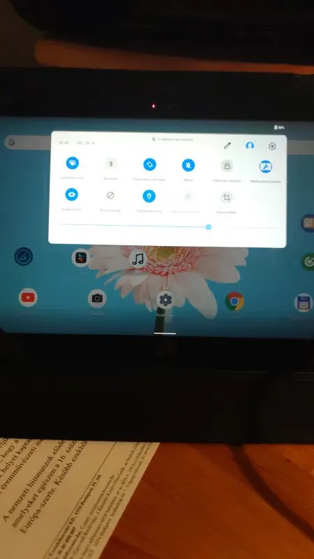  VOICELIVE Play Effect processor