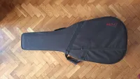 Face Guitar case Gitarrehülle [July 1, 2024, 1:47 pm]
