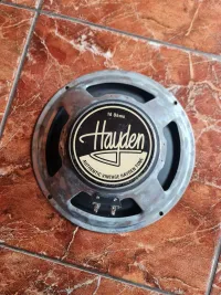 Hayden Vintage 60 Speaker [June 16, 2024, 2:35 pm]