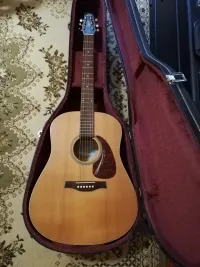 Seagull S6 Slim Godin Akustická gitara [October 4, 2024, 1:30 pm]