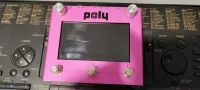 Poly Effects Beboo Pedal [November 26, 2024, 8:22 am]