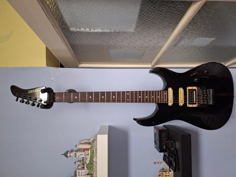 Fernandes FR55 E-Gitarre