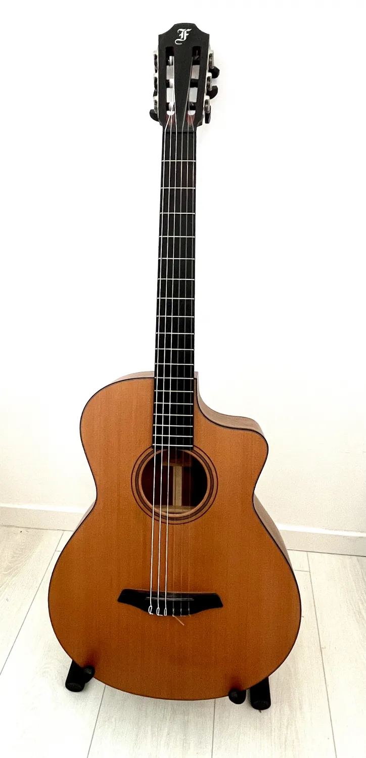 Furch Gn2-cw Akustikgitarre