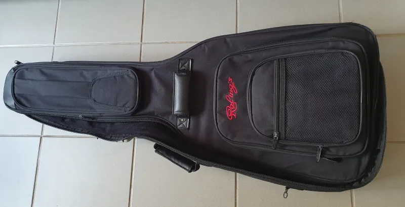 -  Guitar case