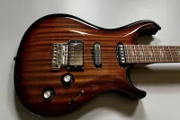 Peter Crow Design Modern DC - Carved top E-Gitarre [July 23, 2024, 11:48 am]