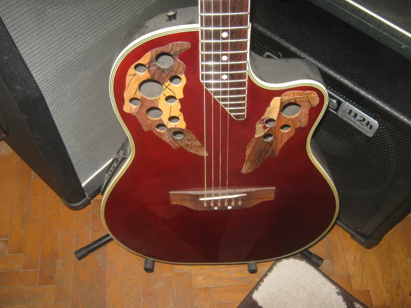 - Clarity Electro-acoustic guitar