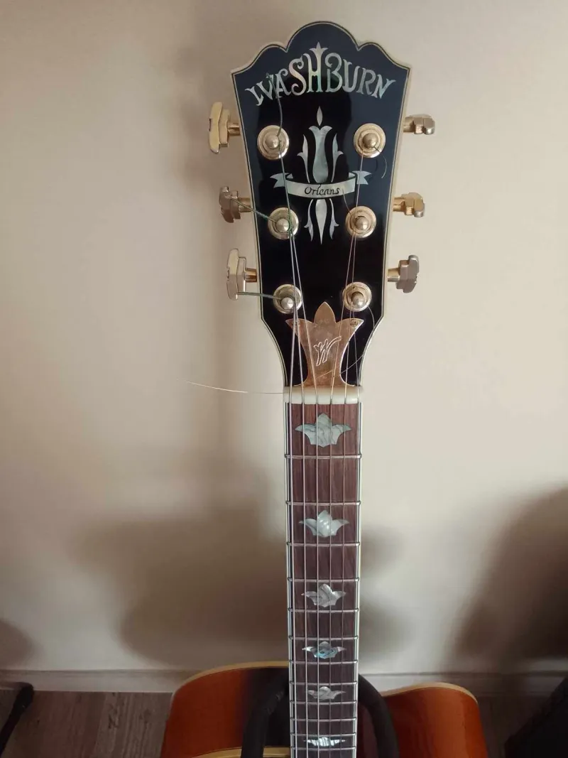 Washburn J10 Jazzgitarre