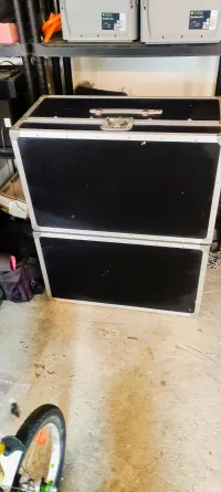 Dynacord Mosquito Loudspeaker [August 18, 2024, 11:37 am]