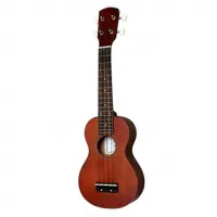 Tenson F512820 Ukulele [September 2, 2024, 5:57 pm]