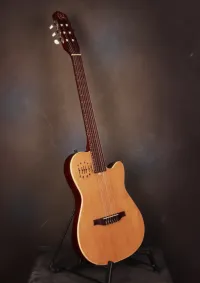 Godin Multiac Nylon Encore E-Gitarre [September 3, 2024, 8:37 am]