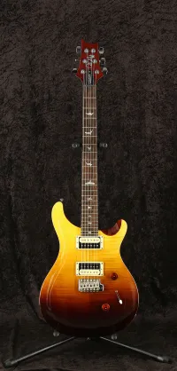 PRS SE Custom 24 LTD.