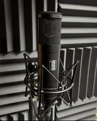 Slate Digital VMS ML-1 gyakorlatilag új Condenser microphone - Sárkány P [October 12, 2024, 10:08 pm]