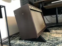 Magnatone Stereo Twilighter Guitar combo amp [September 17, 2024, 8:18 pm]