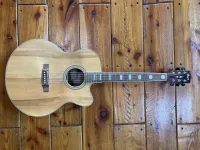 Cort CJ1F NS Electro-acoustic guitar - Stratface [Yesterday, 4:41 pm]