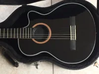 Epiphone Chet Atkins SST