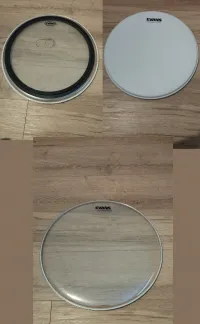 Evans  Drumhead [September 24, 2024, 8:44 pm]