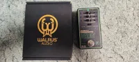 Walrus Fundamental Delay