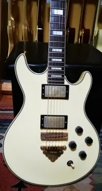 Ibanez CN200 WH