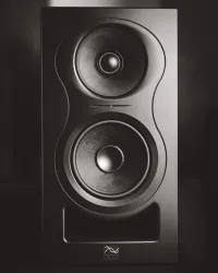 Kali Audio IN-5 Altavoz de estudio - MusicMall [October 5, 2024, 12:44 pm]