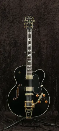 Washburn J-9 MIK