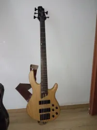 Cort B5 Bass guitar 5 strings [October 14, 2024, 9:06 am]